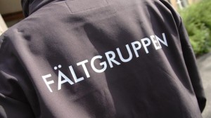 faltgruppen